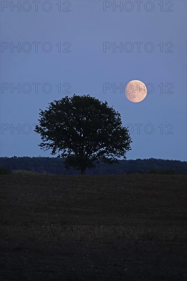 Landscape with full moon