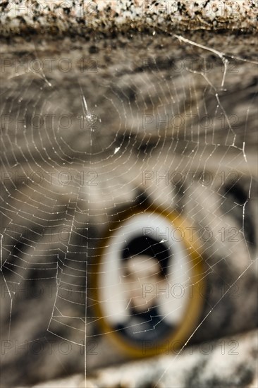 Spider's web on a tombstone in front of a blurred photo Medailion of the deceased in a cemetery