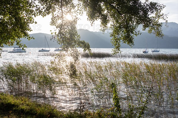 Attersee in front of Hoellengebirge