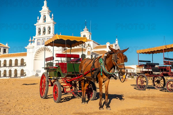 Horse carriages at the Rocio festival in the Rocio sanctuary. Huelva. Andalusia
