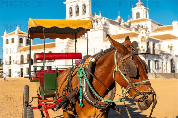 Horses and carriages in the Rocio sanctuary at the Rocio festival in summer