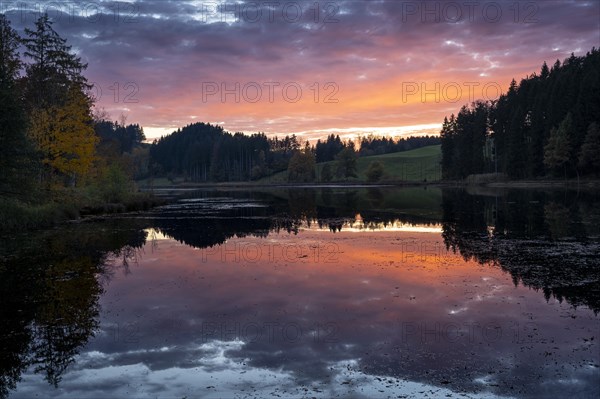 The Hengelesweiher lake in the Hengelesweiher nature reserve at sunset in autumn. The lake is surrounded by forest. The sky with coloured clouds is reflected in the water. Isny im Allgaeu