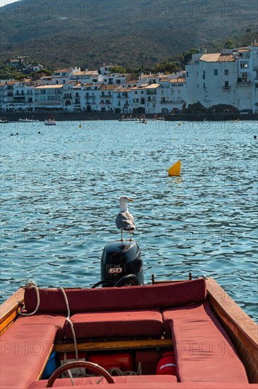 Boats on the beach of the coast of Cadaques