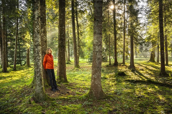 A woman is standing relaxed in a park landscape or forest landscape