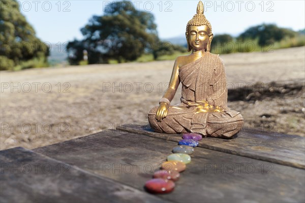 Statue of buddha in the field on a sunlit wooden table with chakra stones in a row