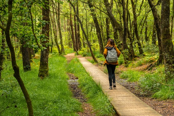 A young girl on the wooden footpath at Lake Paimpont in the Broceliande forest