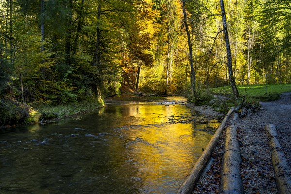 The Eistobel nature reserve