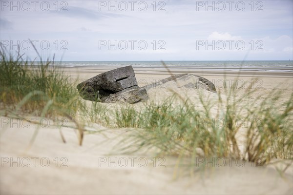 Destroyed bunkers in the dunes of Dunkirk