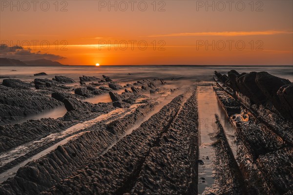 The incredible Flysch