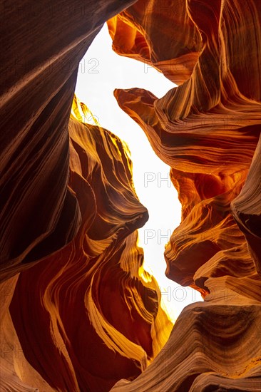 The Lower Antelope seahorse in Arizona. United States