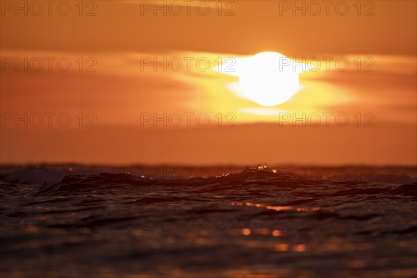 Sunset on the beach of De Panne