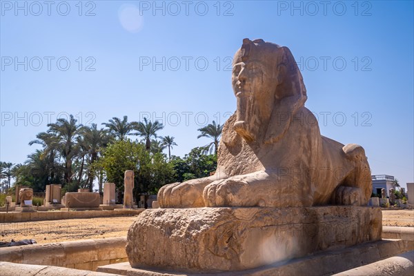 Detail of the precious Sphinx of Memphis in Cairo