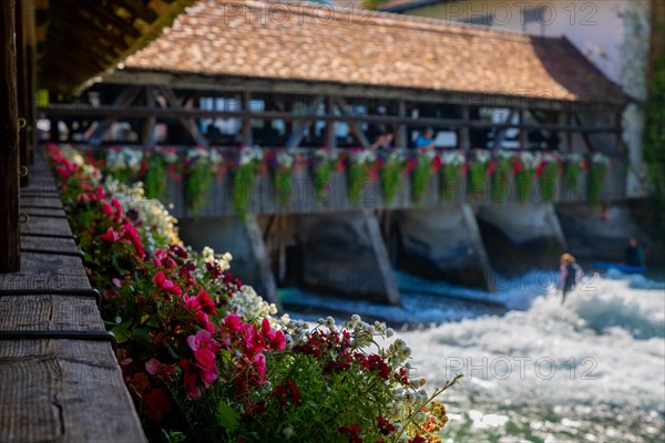 Surfer Surfing on River Aare in City of Thun from Untere Schleuse Bridge in a Sunny Summer Day