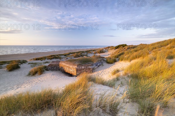 Destroyed bunkers in the dunes of Dunkirk