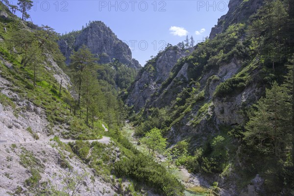 Hiking trail in the Oetschergraben