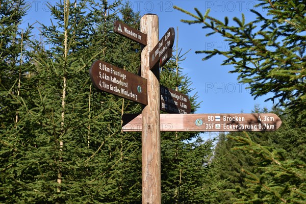 Signposts in the Harz Mountains