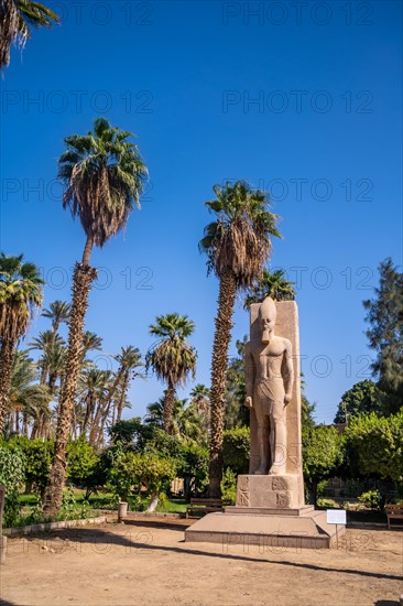 Detail of the sculpture between the palm trees of Pharaoh Ramses II at Memphis in Cairo