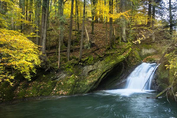 The Eistobel nature reserve