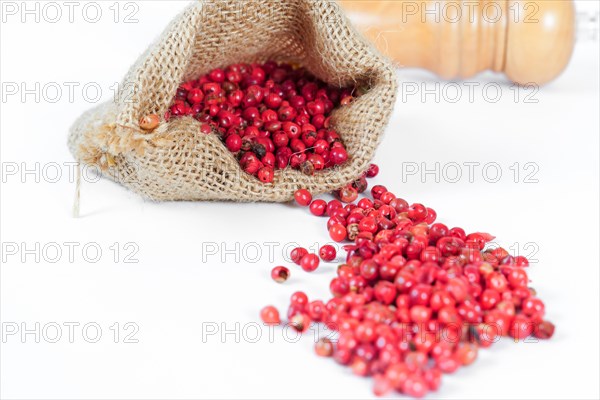 Pink peppercorns in a burlap bag isolated on white background and copy space