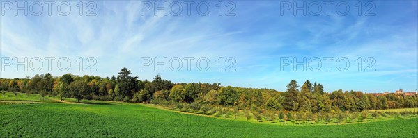 Aerial view of Rothenburg ob der Tauber with a view of the Wedding Forest. Rothenburg ob der Tauber