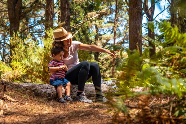 Portrait of a mother with her son sitting on a tree in nature next to pine trees