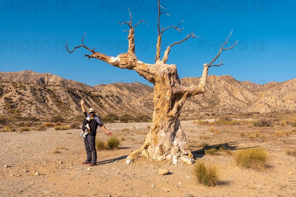 A young hiker girl visiting the tree of misfortune near the desert canyon of Tabernas