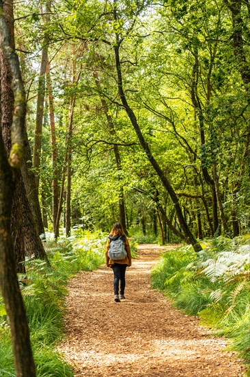 A young woman trekking on Lake Paimpont in the Broceliande forest