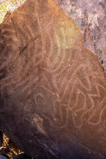 Stones with drawings of ancestors on the Las Tricias trail in the town of Garafia in the north of the island of La Palma