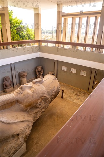 Detail from above of the sculpture of the Colossus of Ramses II at Memphis in Cairo