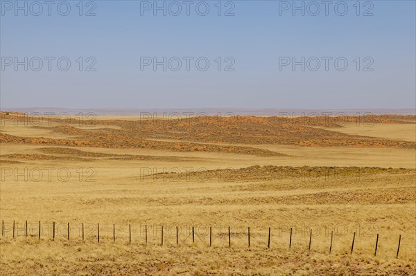 Landscape on the main road C14