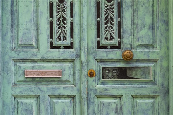 Old green front door