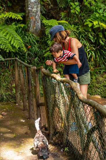 A mother with her child feeding at the start of the Levada do Caldeirao Verde