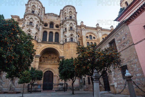 View of the Cathedral of the Incarnation in the city of Malaga