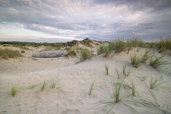 Destroyed bunkers in the dunes of Dunkirk