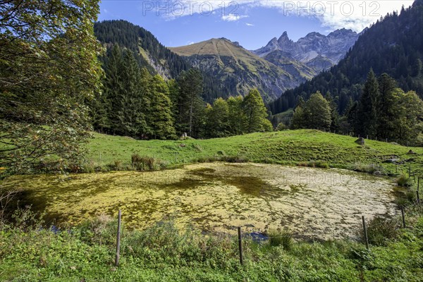 View from the Rappenalp valley to Trettachspitze and Maedelegabel