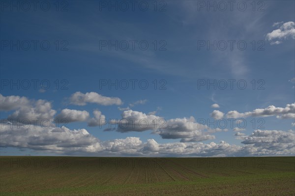 Field and blue sky near Goerke