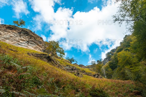 Mountains heading to Passerelle de Holtzarte in the forest or jungle of Irati