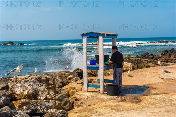 A fish cutter from a restaurant in the tourist town of El Cotillo in the north of the island of Fuerteventura