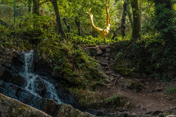 A waterfall in the Arbre D'or in the Broceliande forest