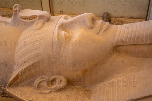 Detail from above of the sculpture of the Colossus of Ramses II in the Memphis museum in Cairo