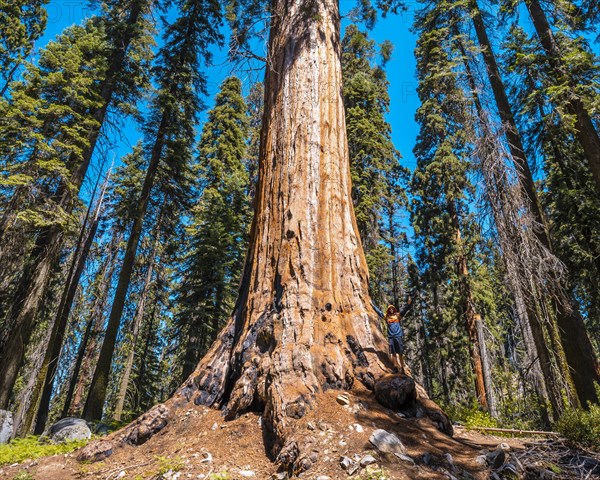 Sequoia National Park