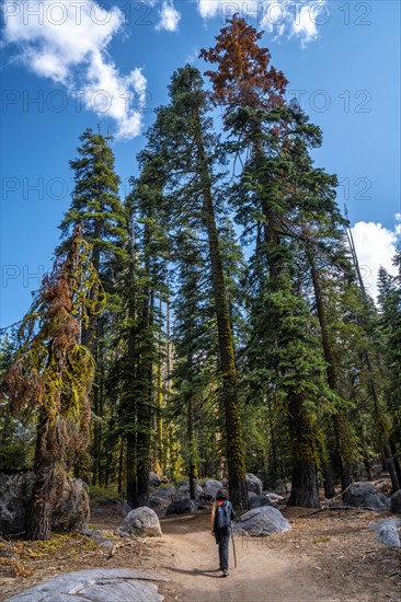 A young man walking towards Taft point in Yosemite National Park. United States