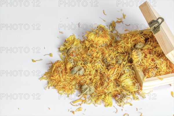 Calendula flowers