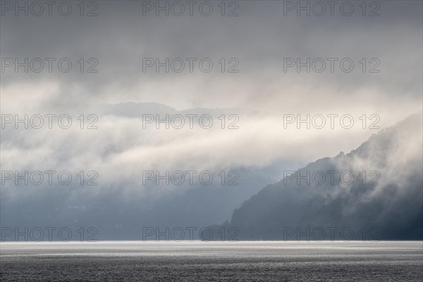 Morning Fog on the Danube