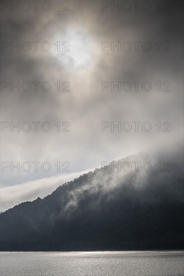 Morning Fog on the Danube