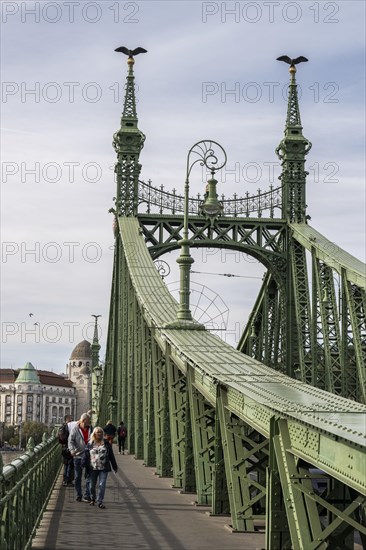 Peace Bridge