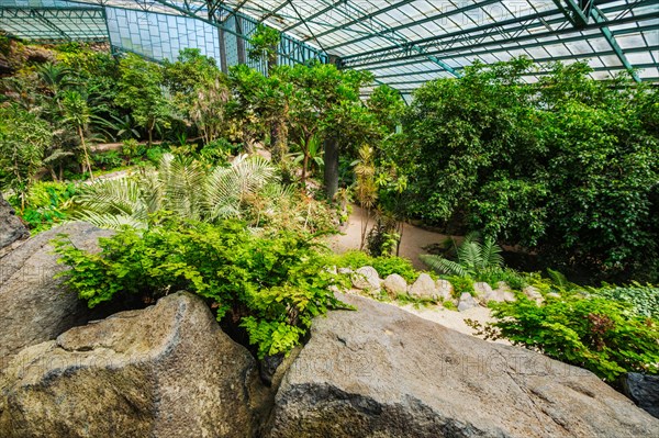 Interior view of the cold house Estufa Fria is a greenhouse with gardens