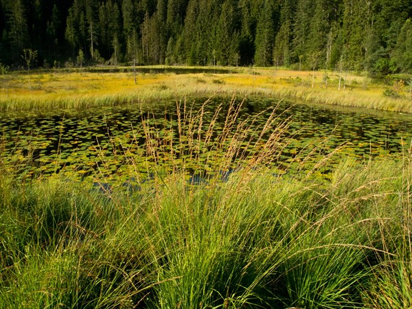 Huzenbacher See