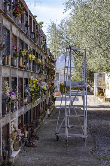 Wall with graves and ladder with wheels in a cemetery