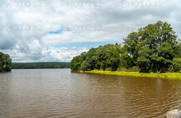Lake of Paimpont in the Broceliande forest
